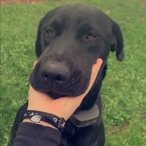 Meet your Posher, Kelsey